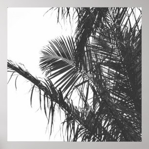 Monochrome Schwarz-weiße Palm Tree-Blätter Poster