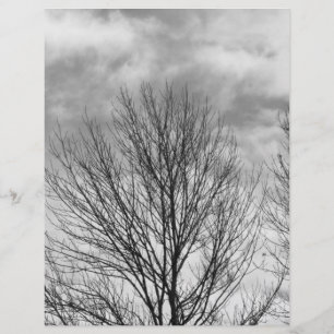 Monochrome Tree Oben