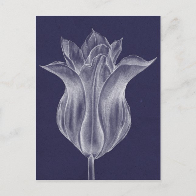 Monochrome Tulip III Postkarte (Vorderseite)