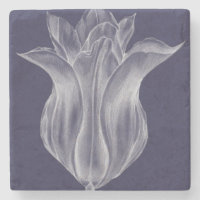 Monochrome Tulip III