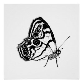 Monochromer Schmetterling Poster