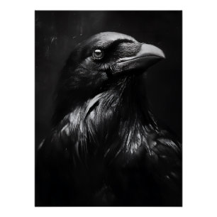 Monochromes Rabenporträt Poster