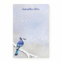 Monogram Watercolor Winter Snow Bird Blue Jay