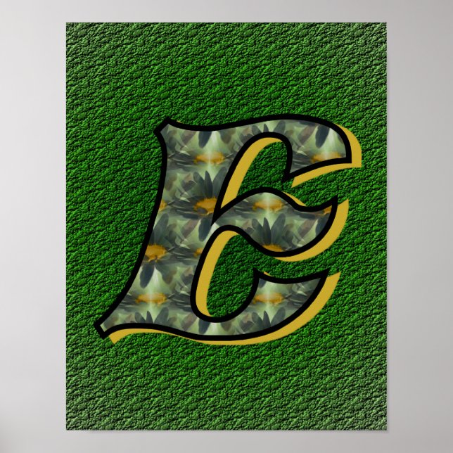 Monogramm Anfangsbuchstabe E Gänseblümchen Florale Poster (Vorne)