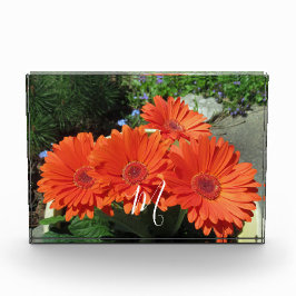 Monogramm Orange Floral Fotografie Fotoblock