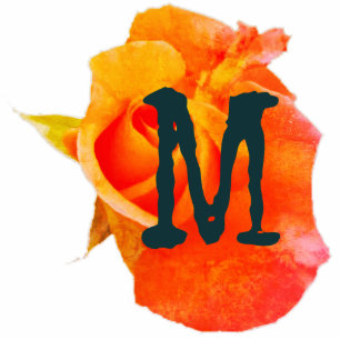 Monogramme Orange Rose Photo Sculpture Ornement