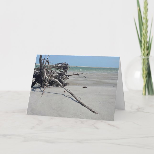 Monomoy National Wildlife Refuge in Cape Cod Karte (Vorderseite)