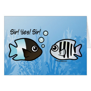 Monsieur ! Oui ! Monsieur !