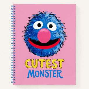 Monster am Ende dieser Geschichte   Grover Notizbuch