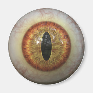 Monster-Auge Magnet