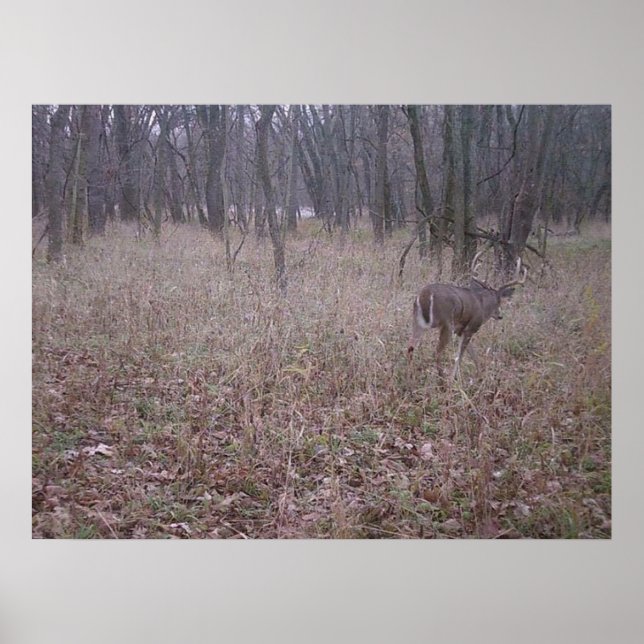 Monster Buck Poster (Vorne)