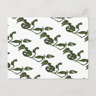 Monstera Adanosii Käseschnecken-Pflanze Muster Grü Postkarte