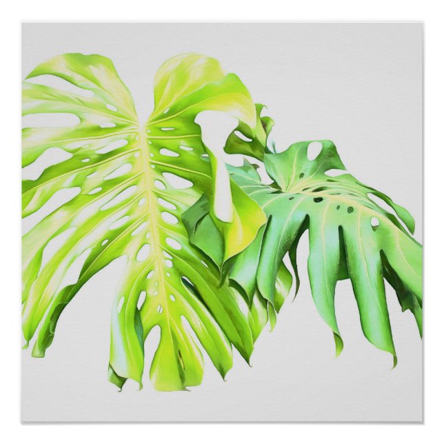Monstera Artistic Leaf Study Poster (Vorderseite)