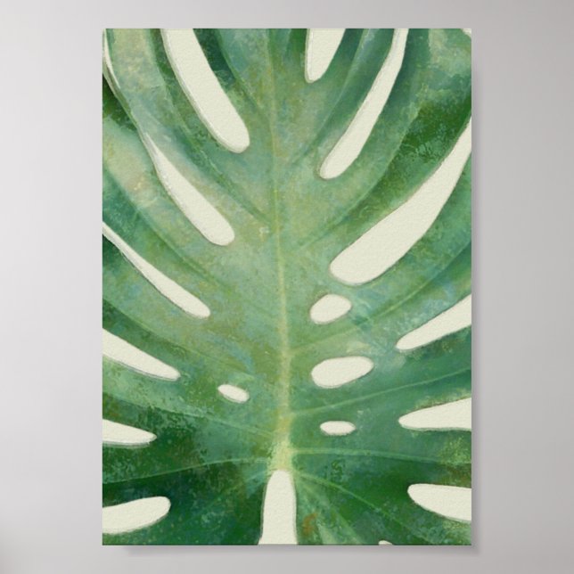 Monstera-Blatt Poster (Vorne)