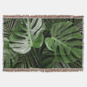 Monstera Blätter, luxuriöse tropische Anordnung. Decke