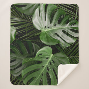 Monstera Blätter, luxuriöse tropische Anordnung. Sherpadecke