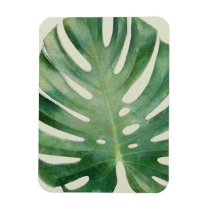 Monstera-Blätter Magnet