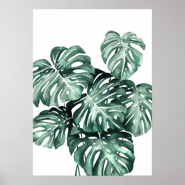 Monstera Deliciosa Leaves Poster (Vorne)