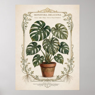 Monstera Deliciosa Vintage-Botanikposter Poster