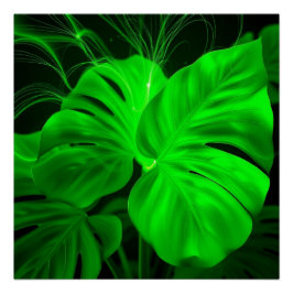 monstera deliciosa wall art poster