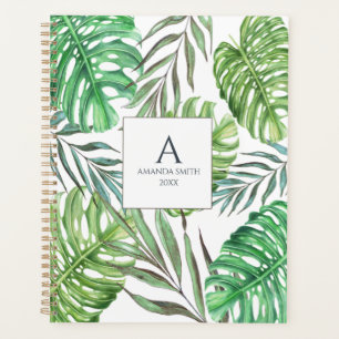 Monstera et feuilles de palmiers