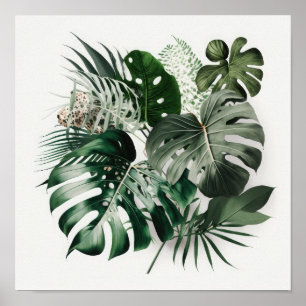 Monstera Feuille Art Imprimer Poster