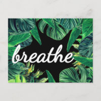 Monstera Gesetz der Attraktivität der Abundance Af