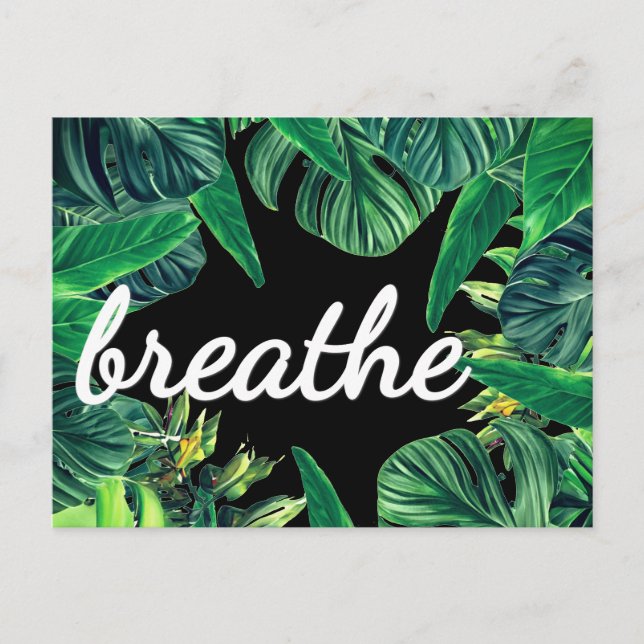 Monstera Gesetz der Attraktivität der Abundance Af Postkarte (Vorderseite)