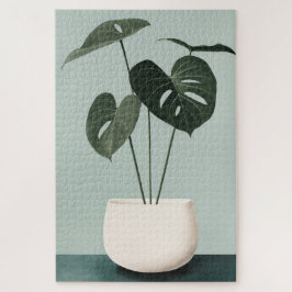 Monstera in einem weißen Topf