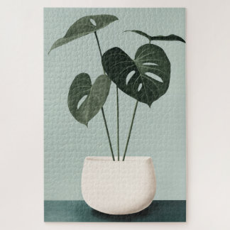 Monstera in einem weißen Topf