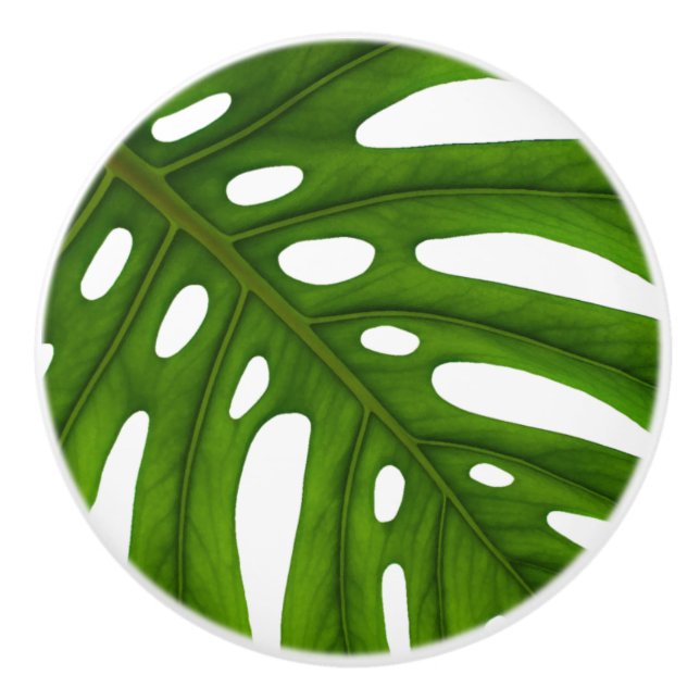 Monstera Leaf Keramik Knob Keramikknauf (Vorderseite)
