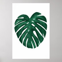 Monstera Leaf Tropische Pflanze