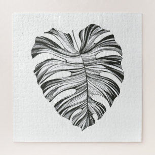 Monstera Leaf: Tropisches natürliches Element.