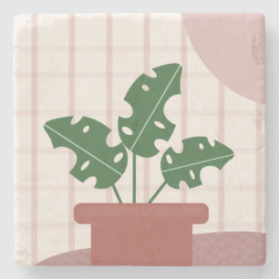 Monstera Pflanze Terracotta Karierter Hintergrund  Steinuntersetzer