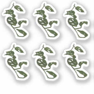 Monstera-Reben-Pflanzen-Zeichnungs-Design-Aufklebe Aufkleber