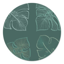 Monstera