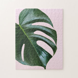 Monstera Tropical Leaf