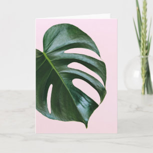 Monstera Tropical Leaf Karte