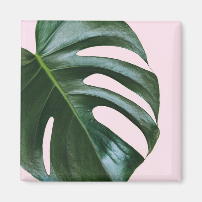 Monstera Tropical Leaf Magnet (Vorne)