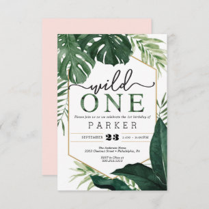 Monstera tropicale Wild One Premier Invitation d'a