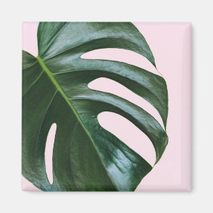 Monstera tropisches Blatt Magnet