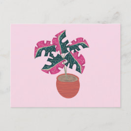 Monstera Variegated Pink and Green Potted Pflanze Postkarte