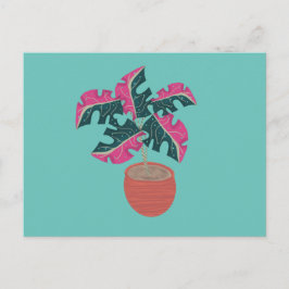 Monstera Variegated Pink and Green Potted Pflanze Postkarte