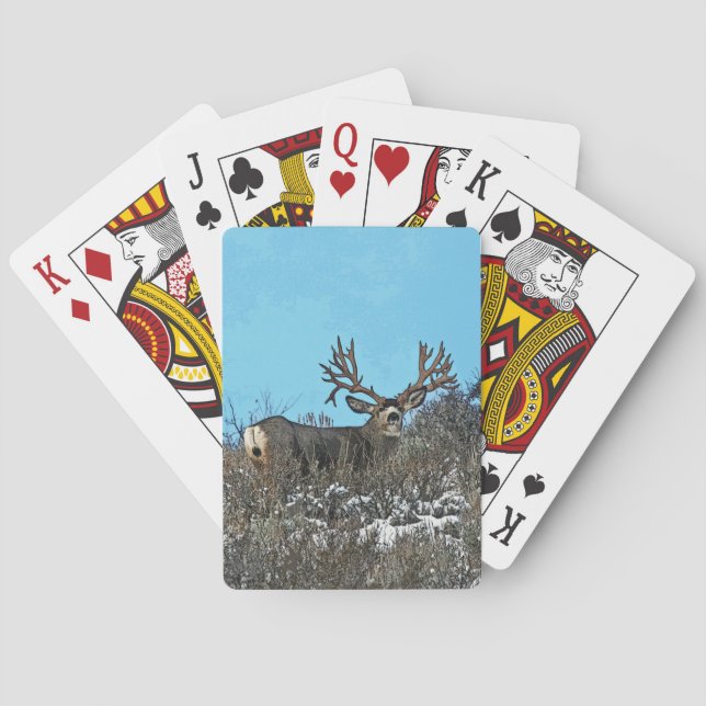Monstermuschel Spielkarten (Rückseite)