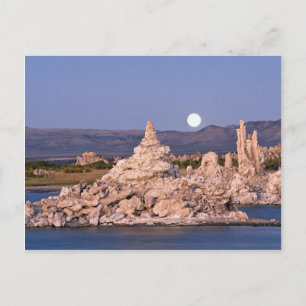 Monsun, Mono Lake, Kalifornien, USA Postkarte