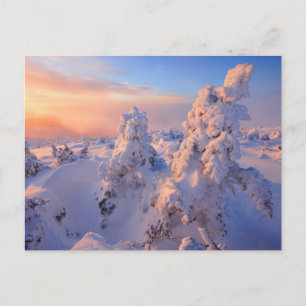 Mont Logan Sunrise Gaspesie National Park Quebec Postkarte