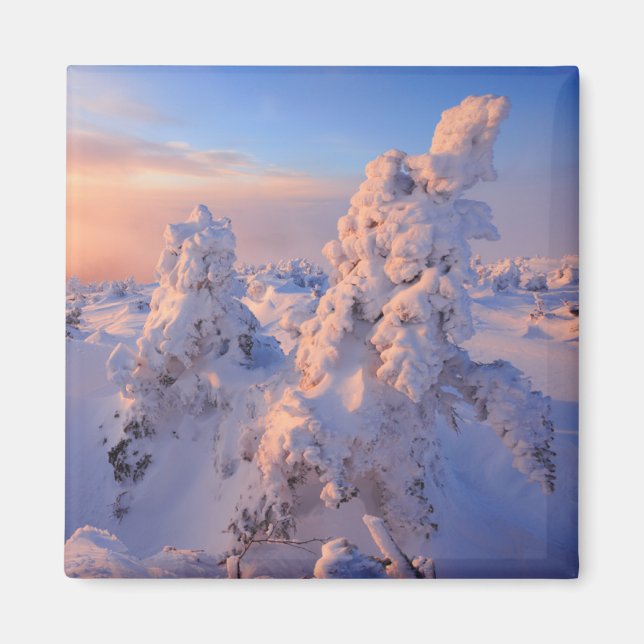 Mont Logan Sunrise Gaspesie Nationalpark Quebec Magnet (Vorne)