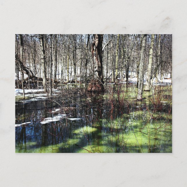 Mont-Royal Postkarte (Vorderseite)