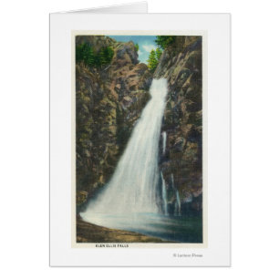 Montagnes blanches Forêt de Nat'l