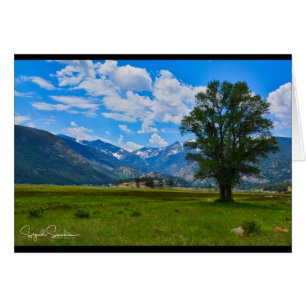 Montagnes rocheuses